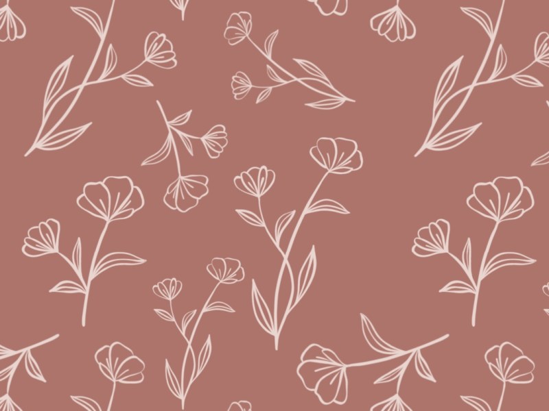 for Little Eco Joys: brand/packaging&nbsp;design